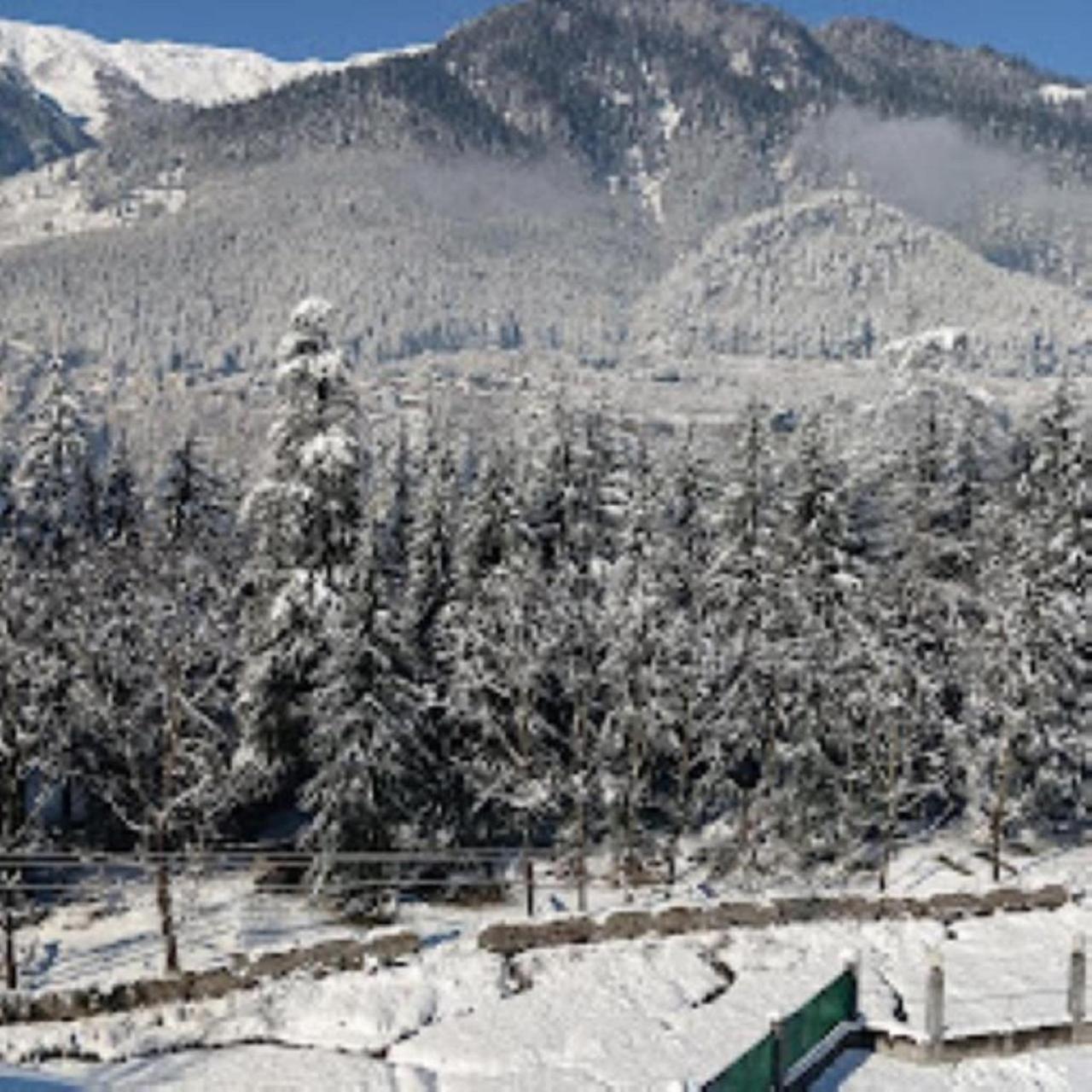 White Mountain Hotel มะนาลี ภายนอก รูปภาพ